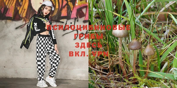 индика Щёлкино